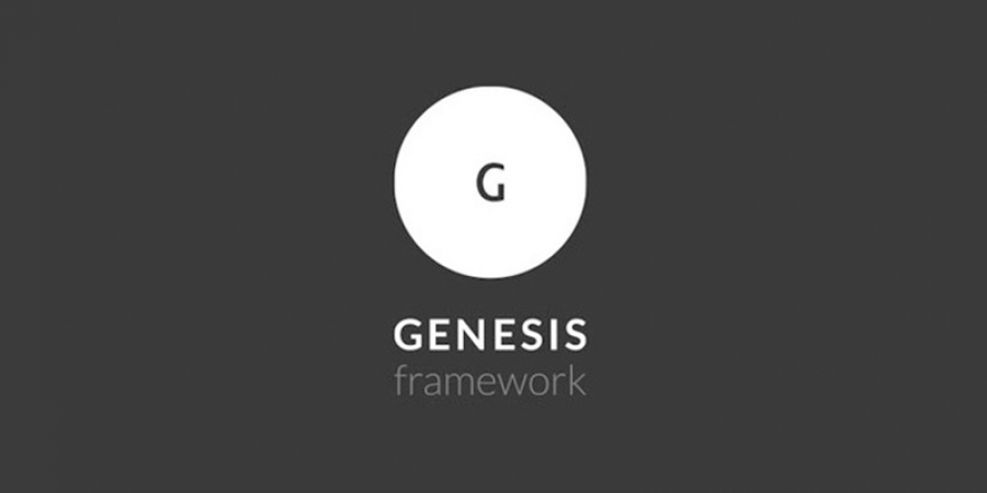 Aumenta la velocidad de tu blog con Genesis Framework para Wordpress